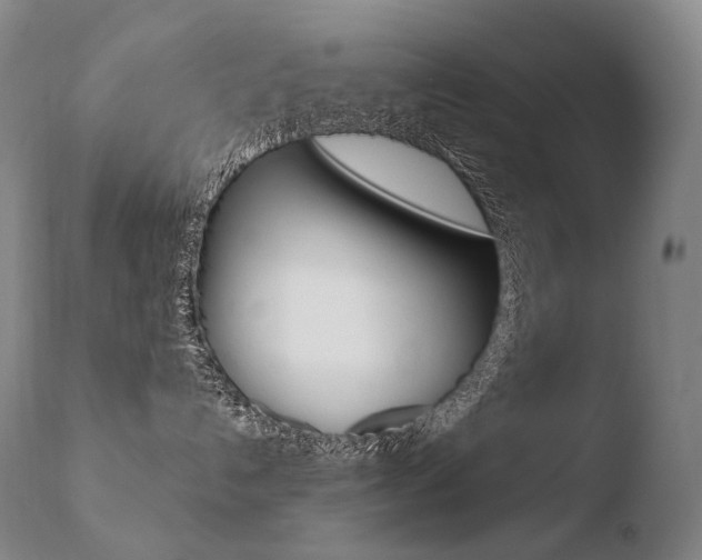 X0000110670192200906121111