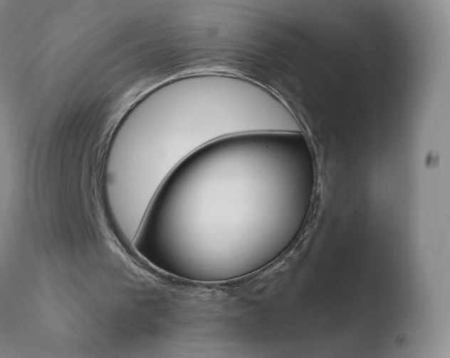 X0000110670193200906121110