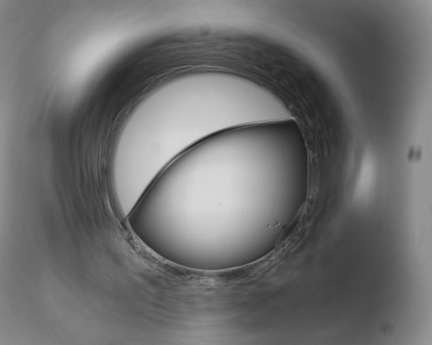 X0000110670195200906121110