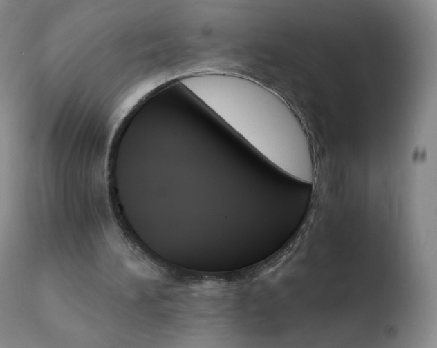 X0000110670196200906121110