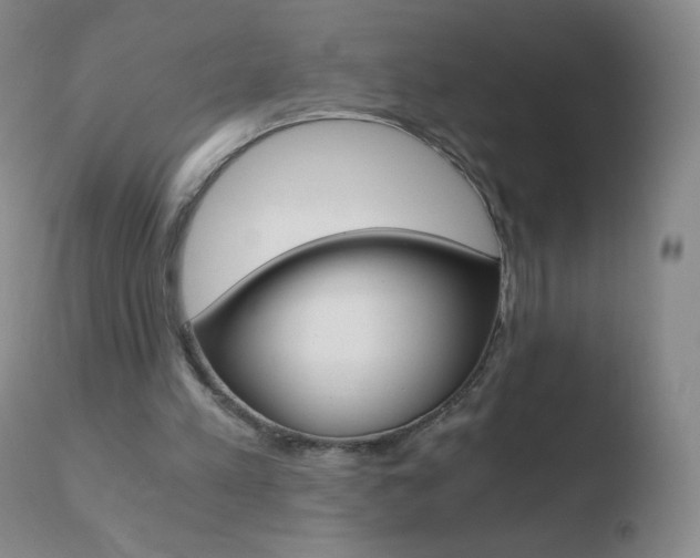 X0000110670197200906121110