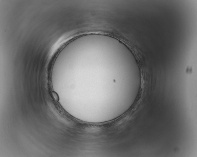 X0000110670198200906121110