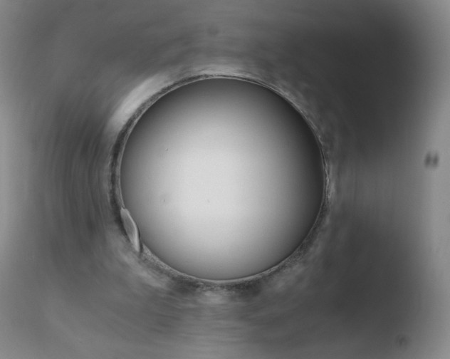 X0000110670199200906121110