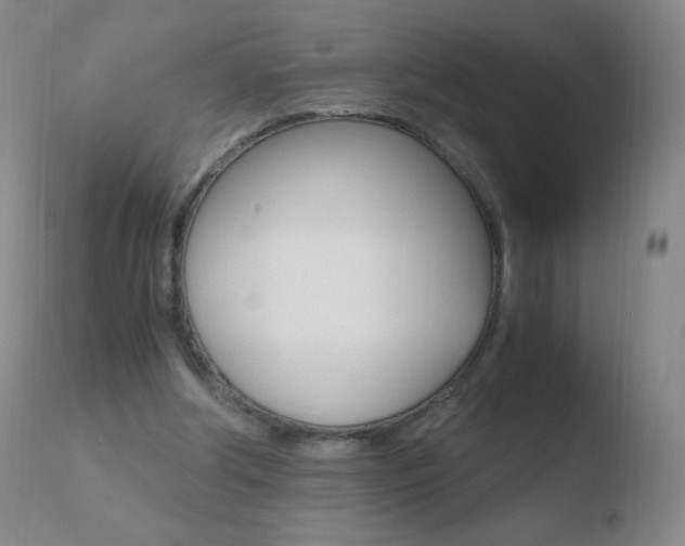 X0000110670202200906121110