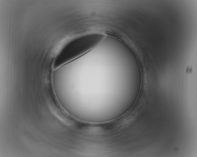 X0000110670203200906121110