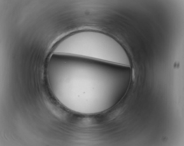 X0000110670204200906121110