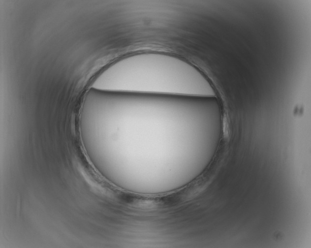 X0000110670205200906121110
