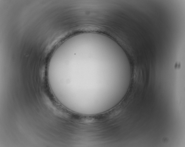 X0000110670206200906121110
