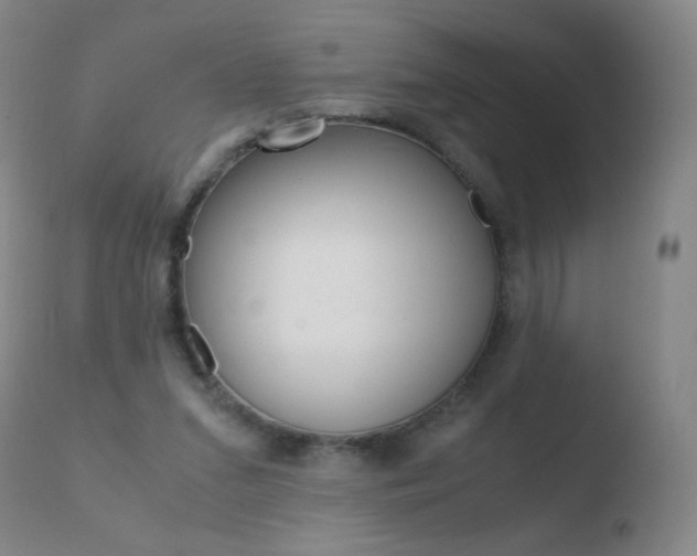 X0000110670207200906121110