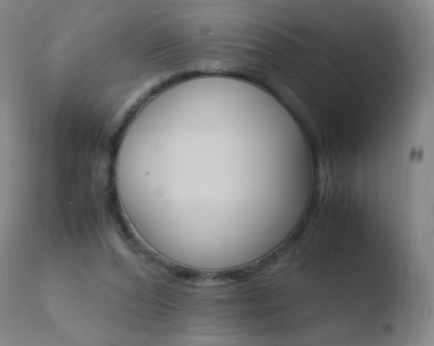 X0000110670208200906121110