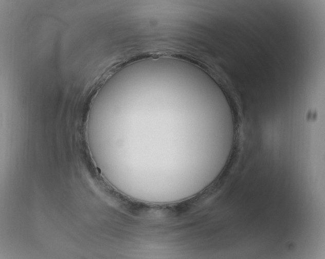 X0000110670209200906121110