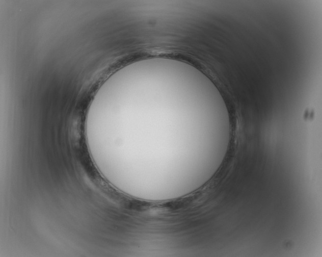 X0000110670210200906121110