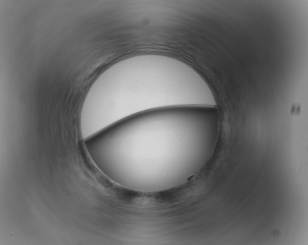 X0000110670211200906121110