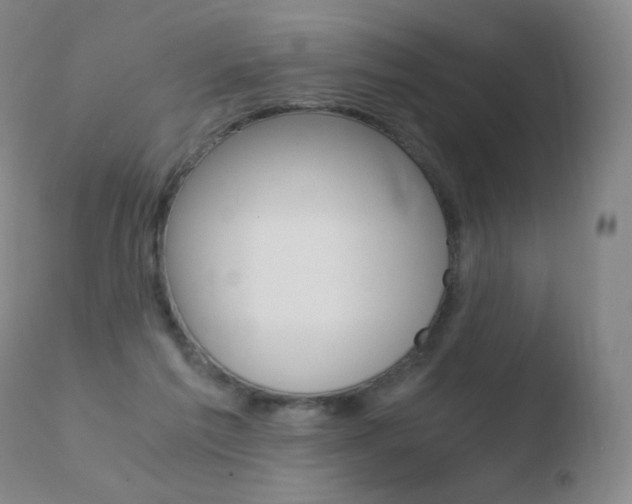 X0000110670213200906121110