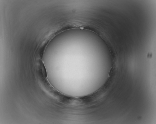 X0000110670215200906121110