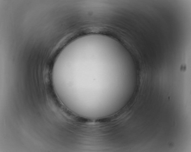 X0000110670216200906121110