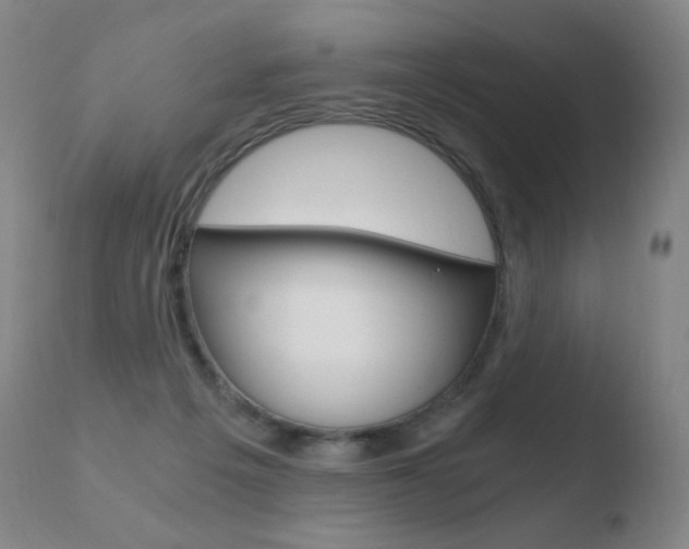 X0000110670217200906121110