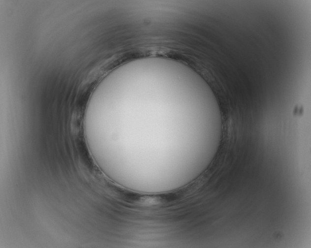 X0000110670218200906121110