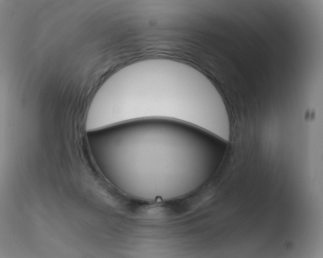 X0000110670219200906121110