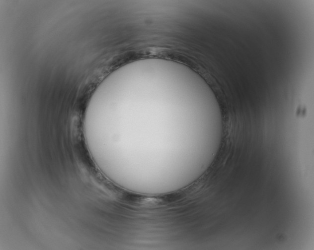X0000110670222200906121110