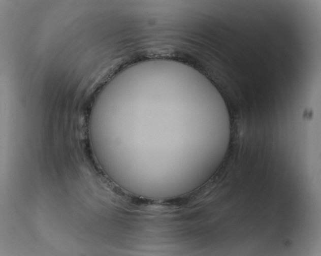 X0000110670224200906121110