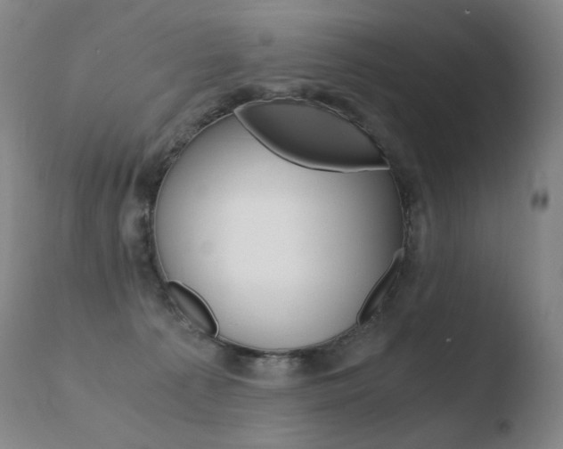 X0000110670225200906121110