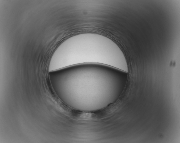 X0000110670227200906121110