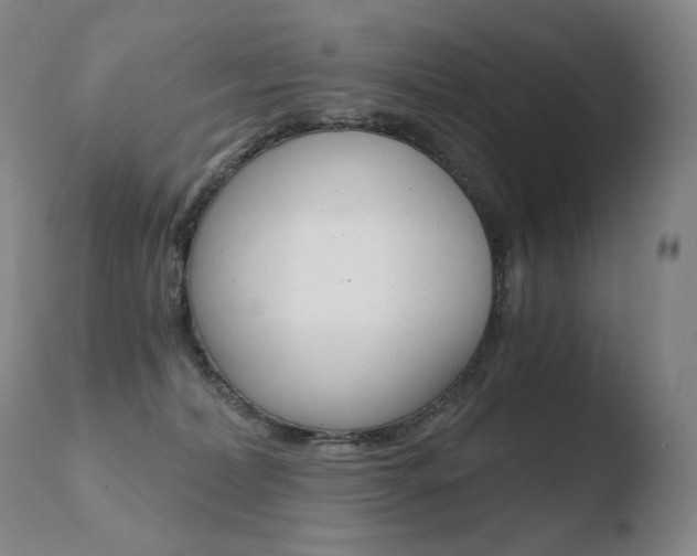 X0000110670228200906121110