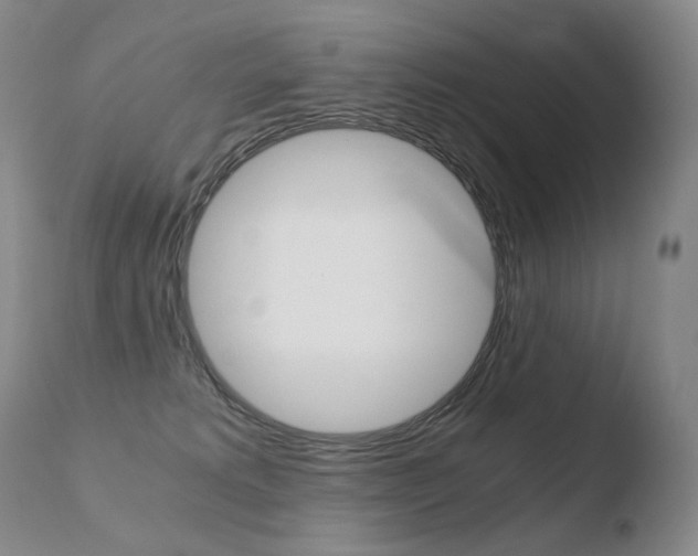 X0000110670229200906121110