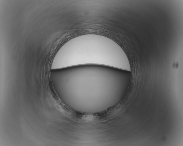 X0000110670231200906121110