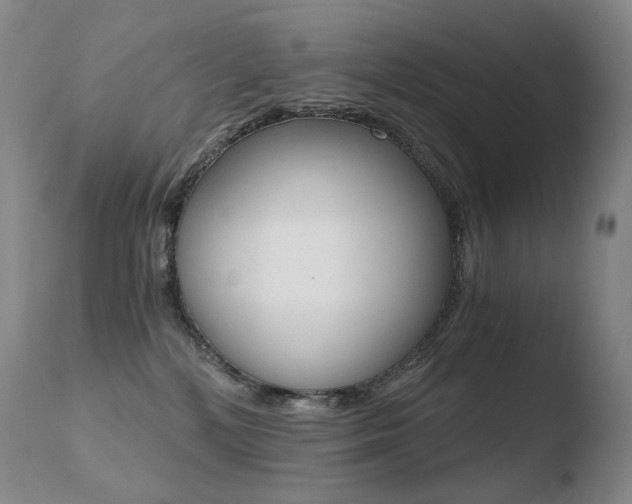 X0000110670232200906121110