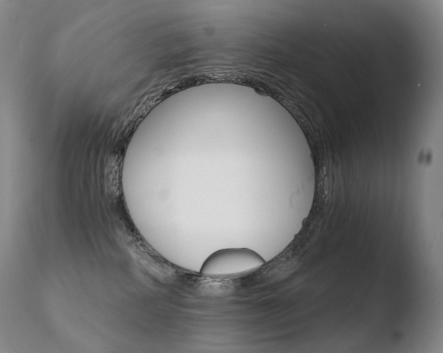 X0000110670234200906121110