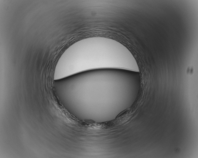 X0000110670235200906121110
