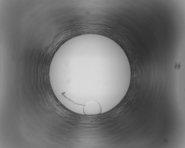 X0000110670237200906121110