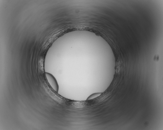 X0000110670238200906121109