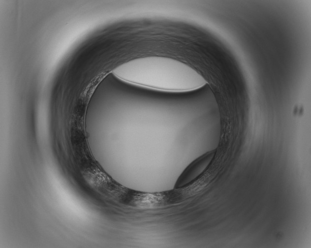 X0000110670239200906121109