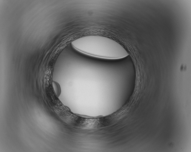 X0000110670240200906121109
