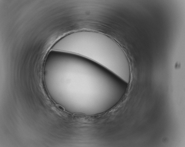 X0000110670241200906121109
