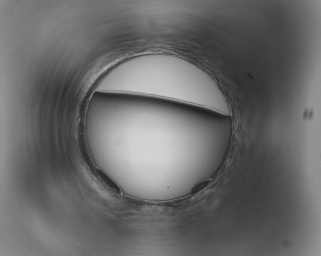 X0000110670242200906121109