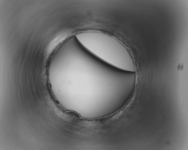 X0000110670245200906121109