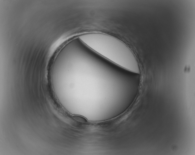 X0000110670246200906121109