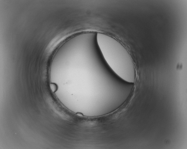X0000110670247200906121109
