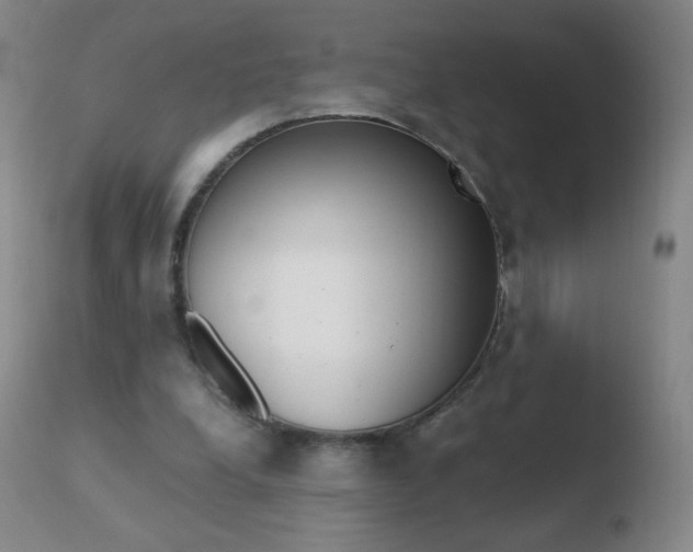 X0000110670248200906121109