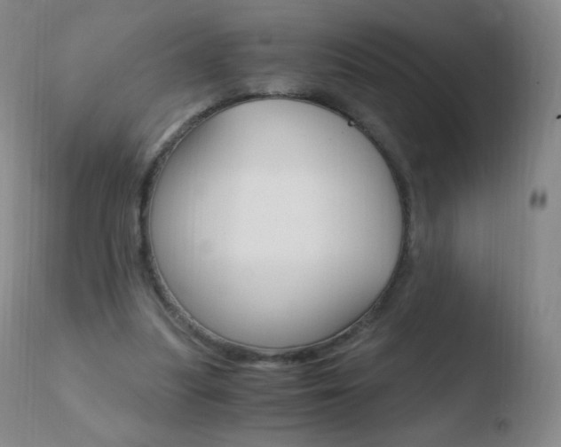 X0000110670251200906121109