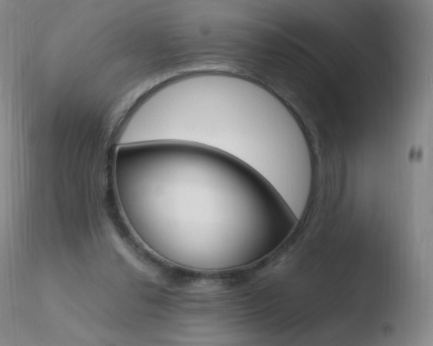 X0000110670252200906121109