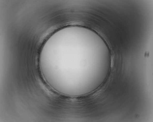 X0000110670253200906121109