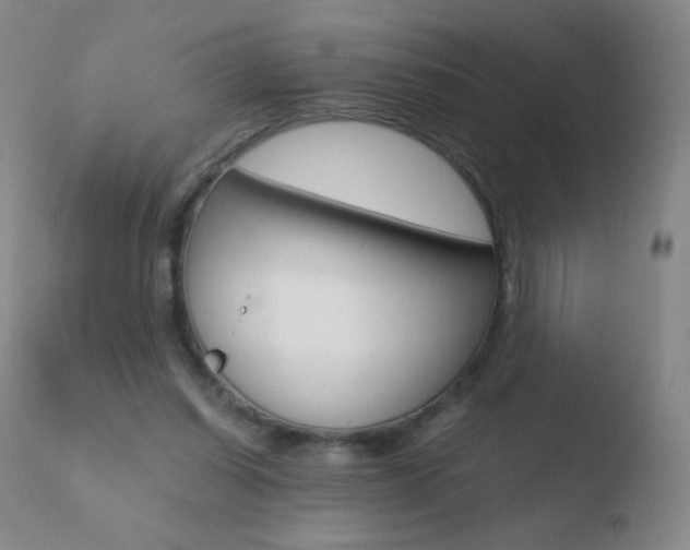 X0000110670254200906121109