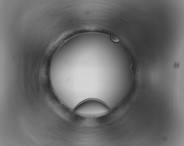 X0000110670256200906121109