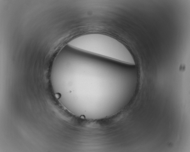 X0000110670258200906121109