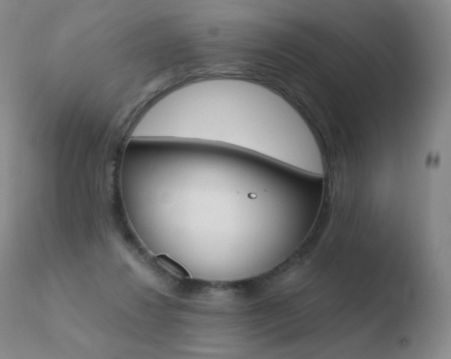 X0000110670260200906121109
